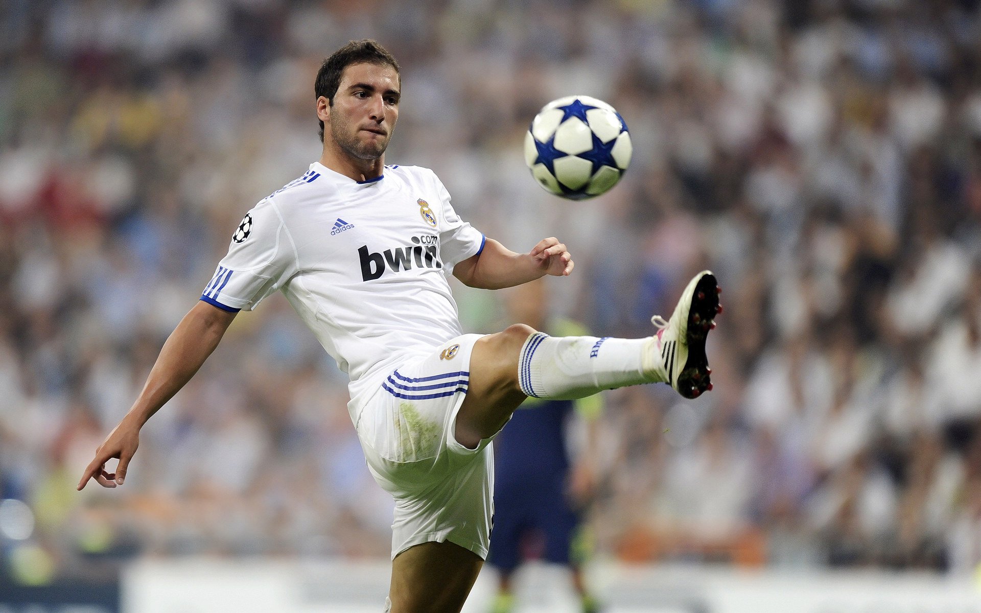 爱尔兰橄榄球吸引国际赞助商投资，爱尔兰体育项目